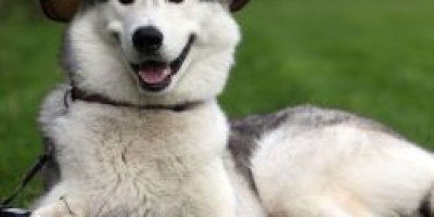 confluence迁移附件目录