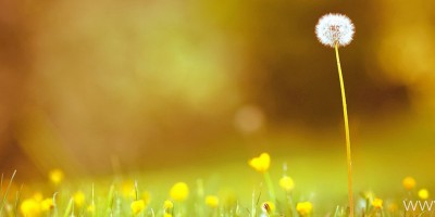 Postgresql 远程连接时间过长自动中断问题解决