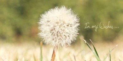 Centos7安装中文宋体-phantomjs