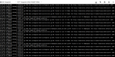 10250/stats/container/: x509: cannot validate certificate