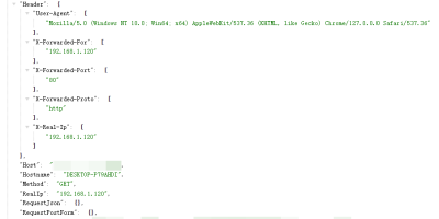 Apisix代理转发header头删除配置