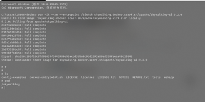 Docker快速调试镜像命令方法