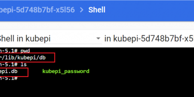 kubepi强制重置密码工具-Golang开发