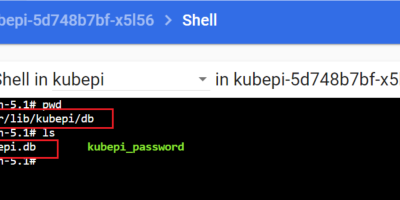 kubepi强制重置密码工具-Golang开发