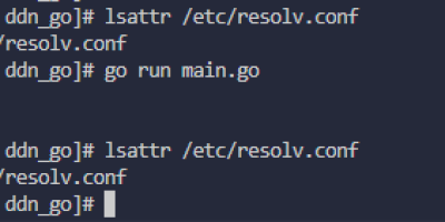 golang学习-使用go-chattr库锁定Linux文件权限