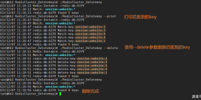 Redis集群/单机 key无阻塞批量删除工具-Golang开发